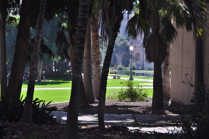 Balboa Park landscaping